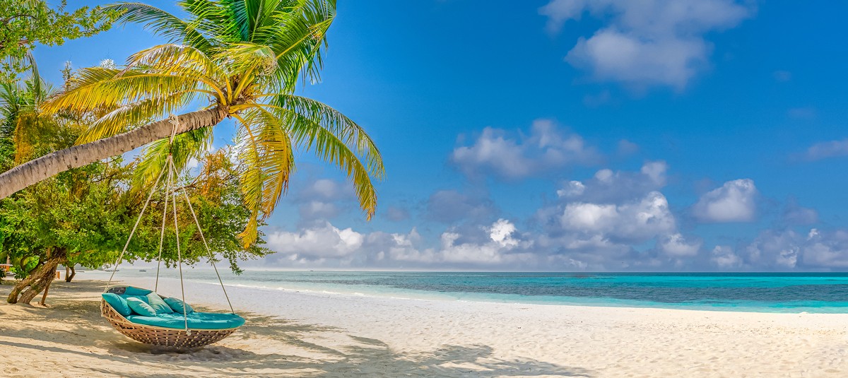 Tropical Beach Panorama